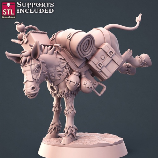 [11-STL-02]  - Dresseur de Chevaux