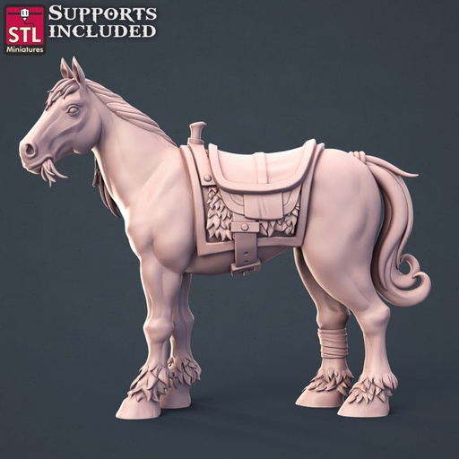 [11-STL-03] Cheval A - Dresseur de Chevaux