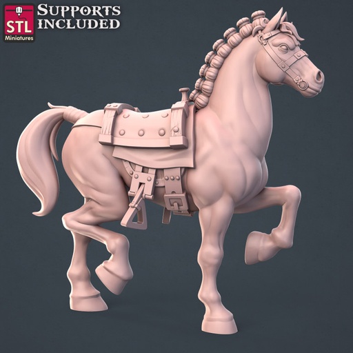 [11-STL-04] Cheval B - Dresseur de Chevaux